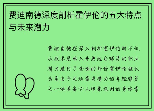 费迪南德深度剖析霍伊伦的五大特点与未来潜力